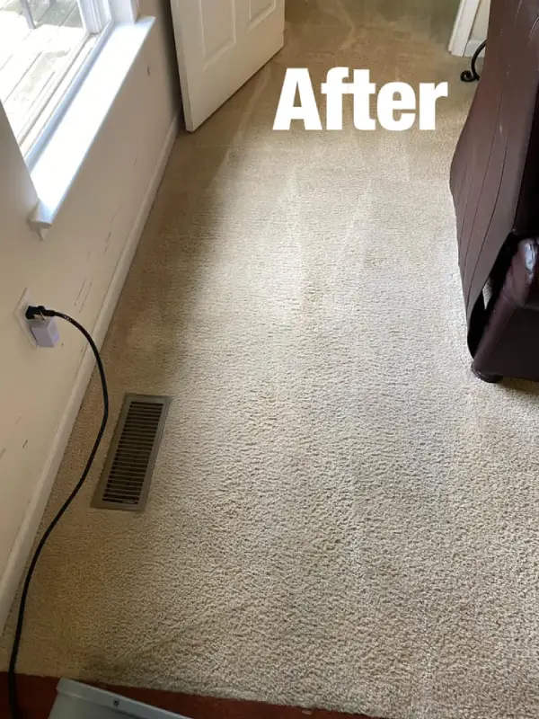 Carpet-Cleaning-After-09 Carpet Cleaning After