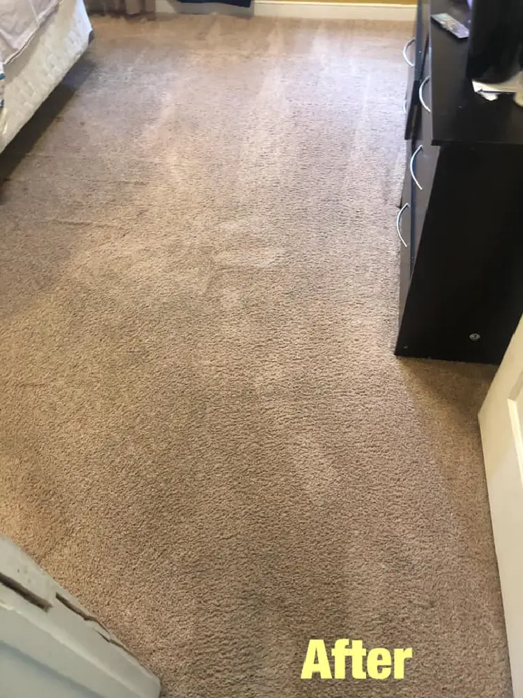 Carpet-Cleaning-After-5 Carpet Cleaning After