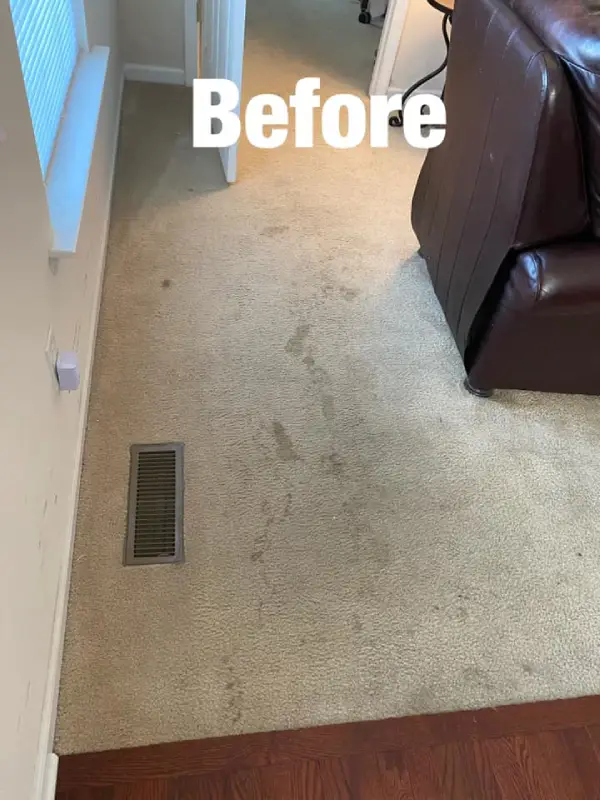 Carpet-Cleaning-Before-09 Carpet Cleaning Before
