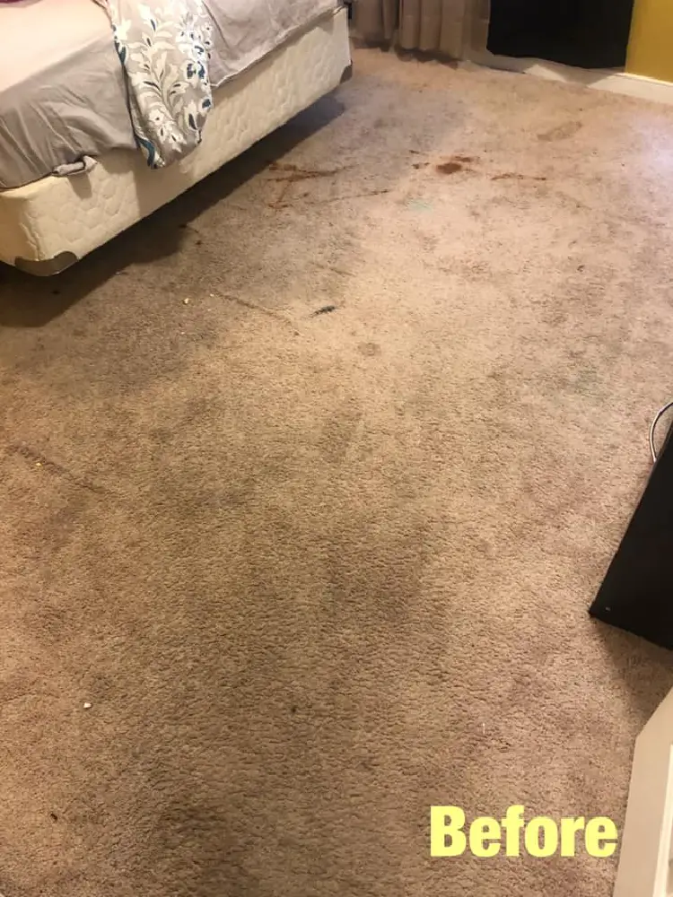 Carpet-Cleaning-Before-5 Carpet Cleaning Before