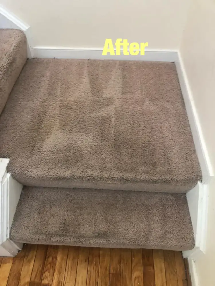 Staircase-Carpet-Cleaning-After-2 Staircase Carpet Cleaning After