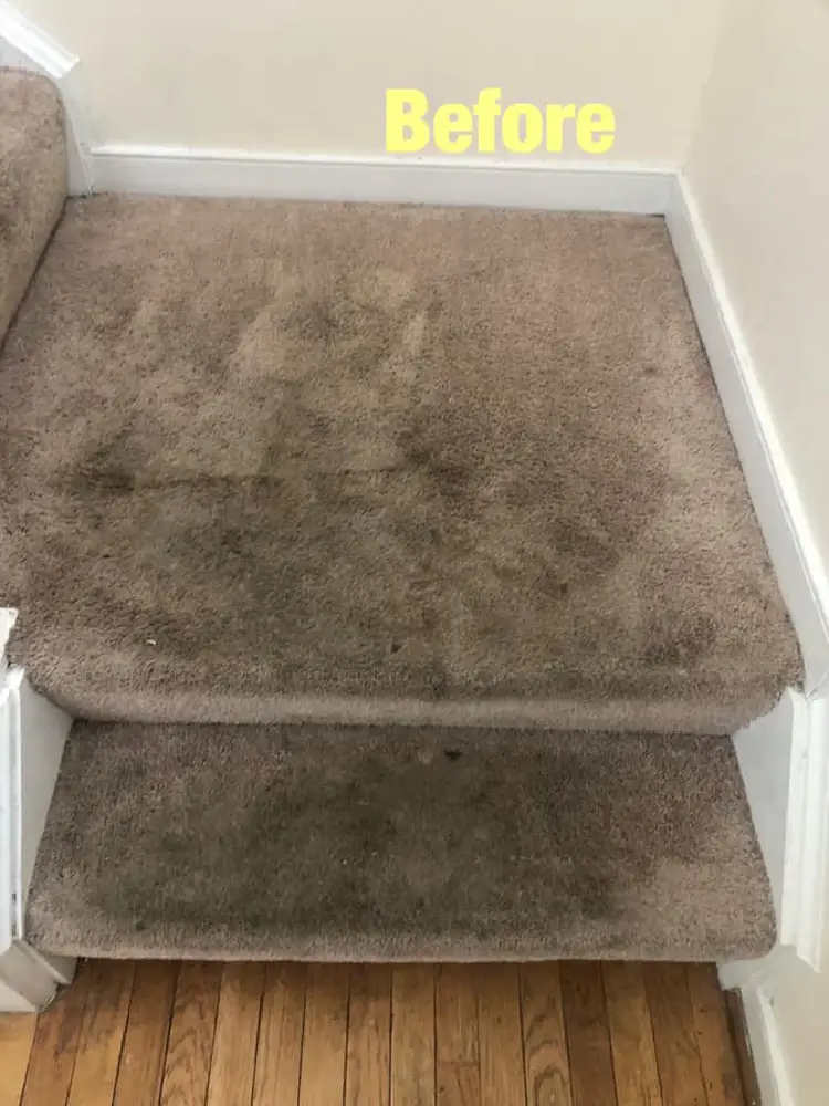 Staircase-Carpet-Cleaning-Before-2 Staircase Carpet Cleaning Before