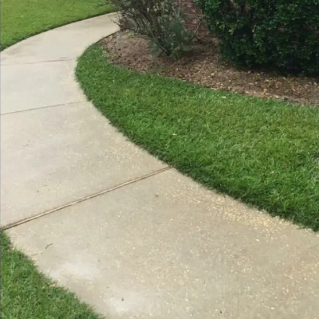 pressure washing after (2) Pressure Washing After ()