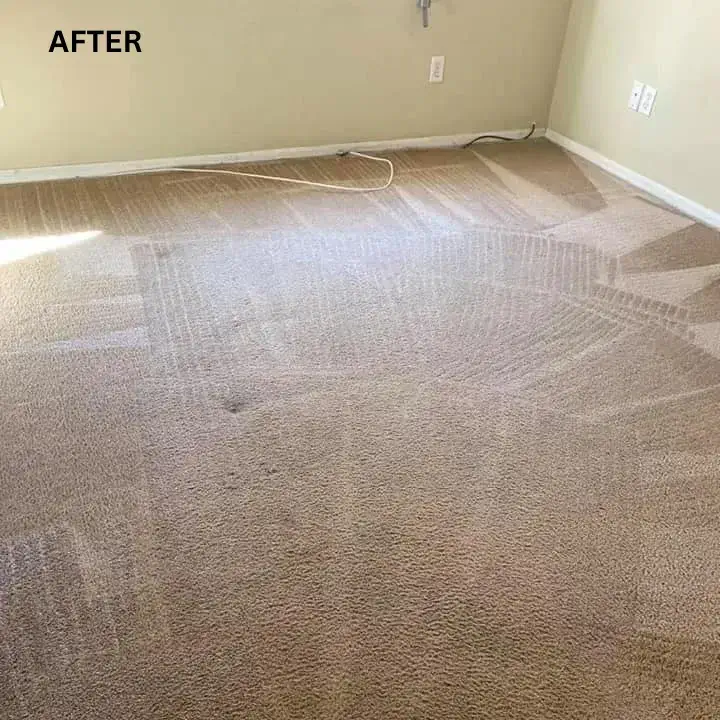 After Carpet Cleaning After Carpet Cleaning