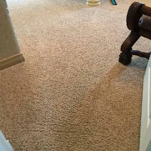 After carpet stain removal After Carpet Stain Removal