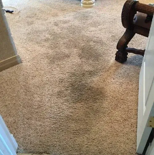Before carpet stain removal Before Carpet Stain Removal