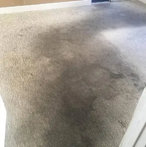 Carpet-stain-removal-before Carpet Stain Removal Before