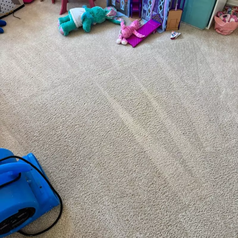 after-carpet-cleaning After Carpet Cleaning