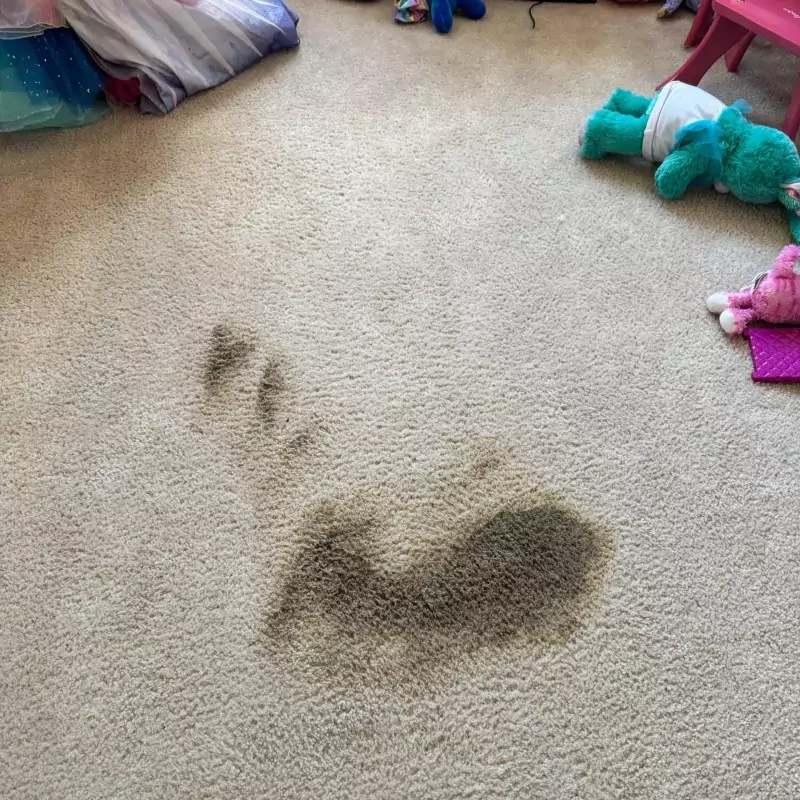 before-carpet-cleaning Before Carpet Cleaning