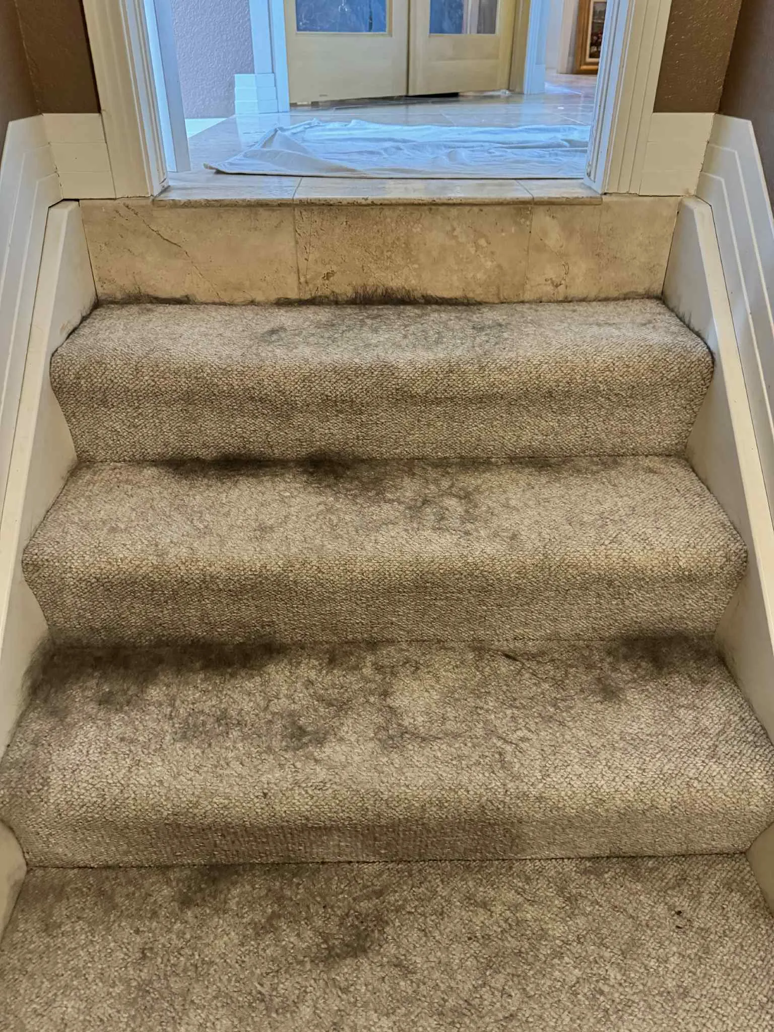 carpet cleaning before Carpet Cleaning Before