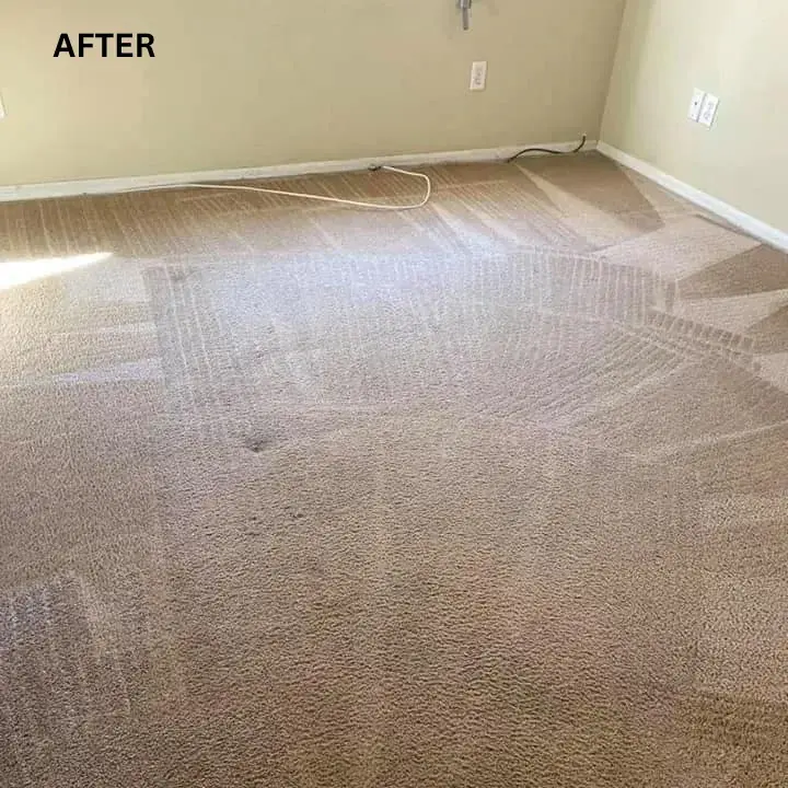 carpet cleaning odor removal carpet still smell after cleaning